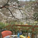 증심사뚱돼지숯불갈비 이미지