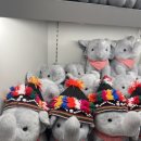 글로리약국 이미지