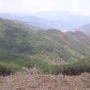 서상농장 이미지