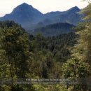 버텍스게임즈 주식회사 이미지