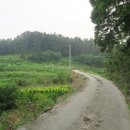 용리산 Daum카페