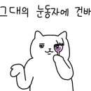 명지세차장 네이버블로그