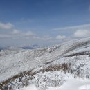 설산한의원 이미지