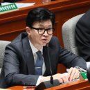머리나라헤어라인 이미지