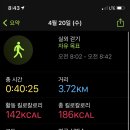 브레드나무 이미지