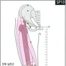 생리불순 이미지