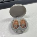 재성사 | 그들은 이제 악마와 함께 잔다