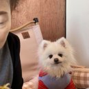 야자수식당