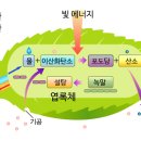 [성 십자가 현양 축일] 십자가로 인한 구원을 확신하라 이미지