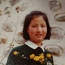 모아방 이미지