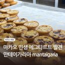 엘리샤 네일 - 사하구 | 마카오 에그타르트 3대 맛집 만테이가리아 엘리샤 마가렛카페이나타 솔직비교후기