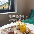 고양이 놀이터 | 태안대형카페 고양이놀이터 감성스러운 분위기 시너리