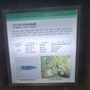 태백석탄박물관 Daum카페