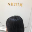아리움헤어 이미지