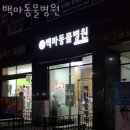 백마동물병원 | 인천 부평동 동물병원 백마동물병원 위치 오는길 후기