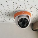 서호호근로 이미지