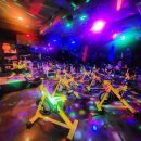 아라핏짐 이미지