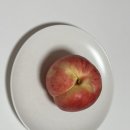 홍백농장 네이버블로그