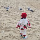 단원농장 | 어린이집 적응 중 딸기농장 딸기체험 다녀오기ෆ