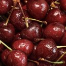 나인플러스 이미지