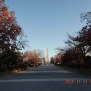 서해랑길 51차(지선64-6 + 5코스일부, 삽교호공원~합덕수리민속박물관~석우리정류장) 이미지