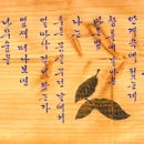 이금영 이미지