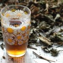 삼백초한의원 이미지