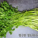 Re: 향긋한 청도미나리 50% 맛보기 이벤트 당첨자 발표 이미지