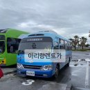 제주도 갈 때 아리랑 렌트카 후기(스포티지)