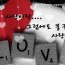 야단법석 이미지