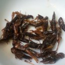 금오식당