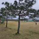 만남골프연습장 이미지