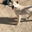 이진성형외과의원 이미지