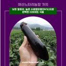 여산농장 이미지