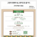 주민공정여행사 팜팜