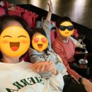 카메오컴퍼니 | [픽사 신작 ‘호퍼스’ 관람 후기] 평점 97.8 이유가 있는 감동 애니, 믿고 보는 픽사