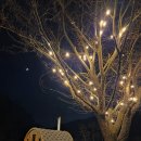 명성산글램핑 | 포천 글램핑장 추천 명성산 뷰 신상 감성 숙소 글램포레 글램핑