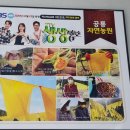 이정수농장 3 이미지