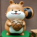 강릉앤솔 이미지