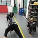 장지합기도 강류관 이미지