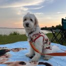 생태마당근린공원 이미지