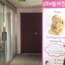 새하얗개 | 산곡동 애견샵 추천 &lt;새하얗개&gt; 친절한 원장님이 솜씨도 좋아!