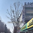 늘푸름꽃집