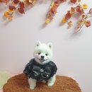 DOG LOVE WITH 란 이미지