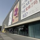시도 8호선 버즘나무 | 상하이 미술관 추천 상하이 현대미술관 비엔날레 관람 후기
