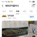 준카클리닉 네이버블로그