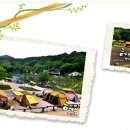 향기로운추억캠핑장 이미지