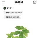포레스텝