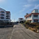 바위솔타운 이미지