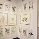 한탄강 세계지질공원센터 이미지